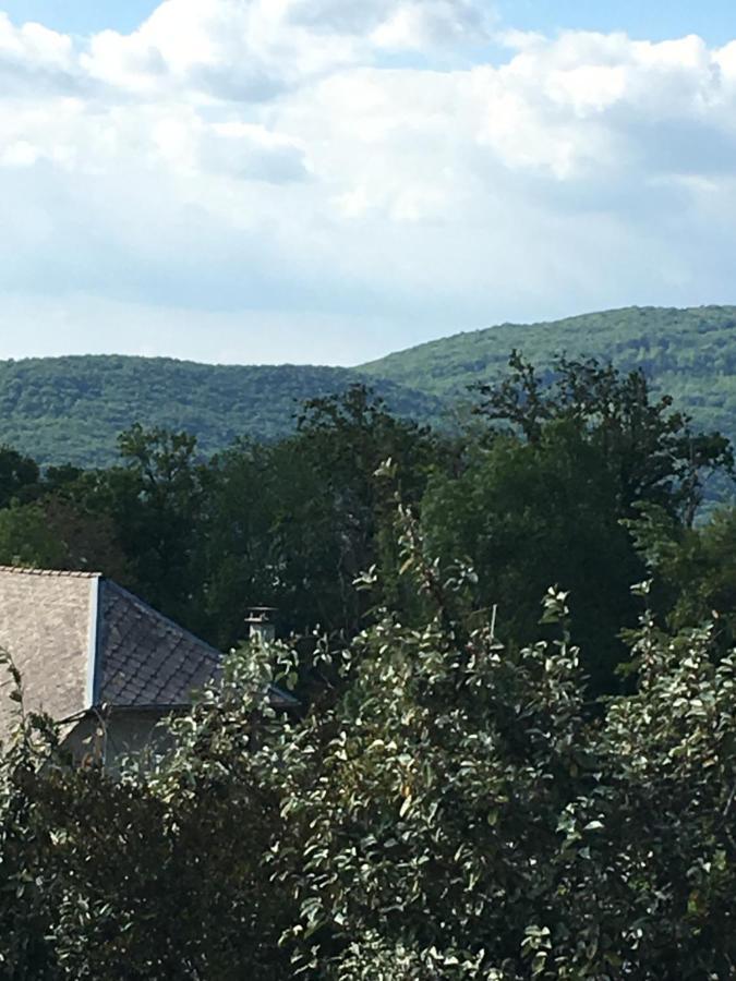 Appartement T2 Independant Dans Maison Pugny-Chatenod Εξωτερικό φωτογραφία